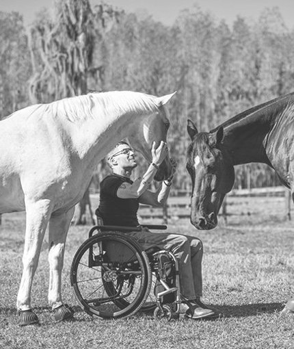 Wounded warrior Mark Lalli sitting on a wheelchair at Quantum Leap Farm while petting horses.